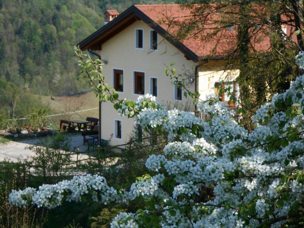 Agriturismo La Casa Nei Boschi Colderu Екстериор снимка