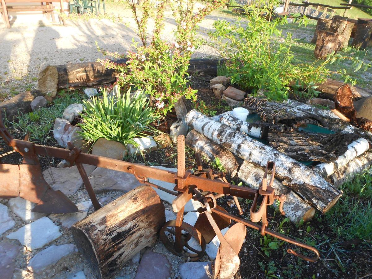 Agriturismo La Casa Nei Boschi Colderu Екстериор снимка