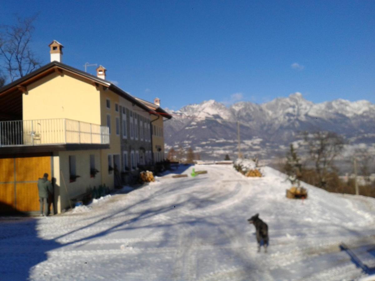 Agriturismo La Casa Nei Boschi Colderu Екстериор снимка